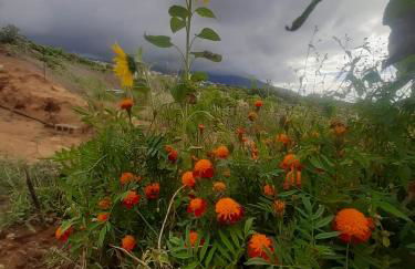 Finca de Luna - Foto 53