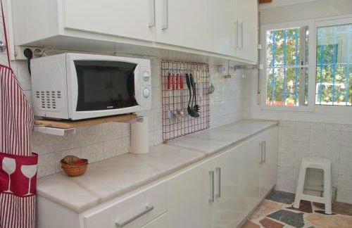 Sargantana Blava - Foto 34