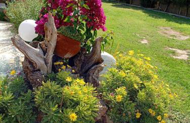 Elia by the sea - Photo 15