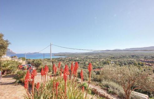 Il Panorama - Foto 9