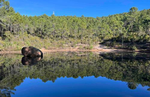 Villa Ormarine, vue exceptionnelle sur la baie de Cannes et le Mercantour - Foto 58