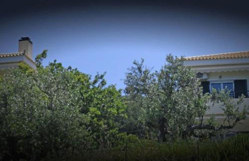 Icaria Great Filling House - Foto 33