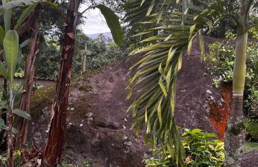 Aconchego da Cachoeira - Foto 42