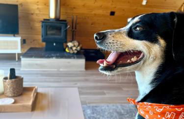 Peaceful A-Frame Cabin - Great Views with Hot Tub - Foto 29