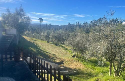 Casa Água - Foto 26