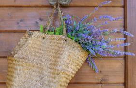 Casa Alfazema, Quinta Carmo - Alcobaça - Nazaré - Foto 4