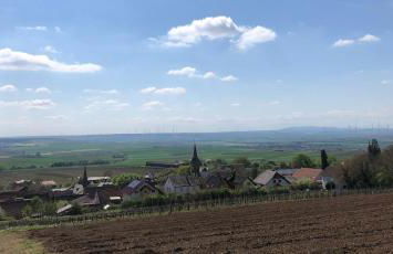 Jakobsruhe - Ferien im Weinparadies - Foto 20