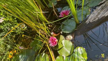 Schleusenapartment mit Klimaanlage und Kamin - Foto 3