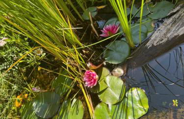 Schleusenapartment mit Klimaanlage und Kamin - Foto 3
