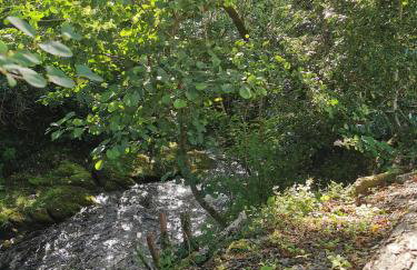 Ty Mawr Country Hotel & Restaurant - Foto 64