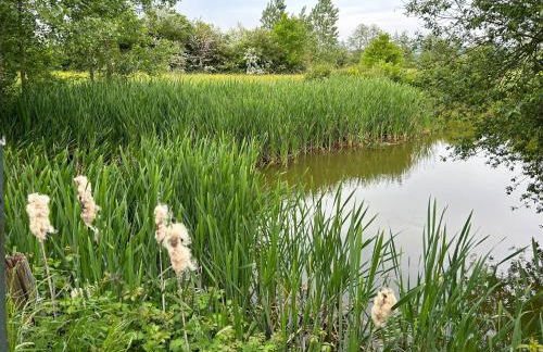 Gîte des Comtes du Perche 2 logements indépendants de 40 et 25 m2 - Foto 8