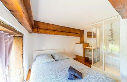 The charming Fleury 2 bedrooms Oullins - Foto 16