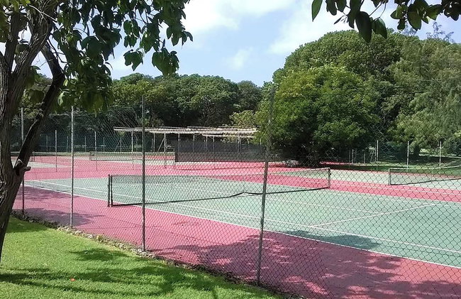 Rockley Orange Hill - by Zenbreak - Foto 14