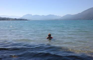 Au Cœur De La Riviera Des Alpes T2 - Foto 31