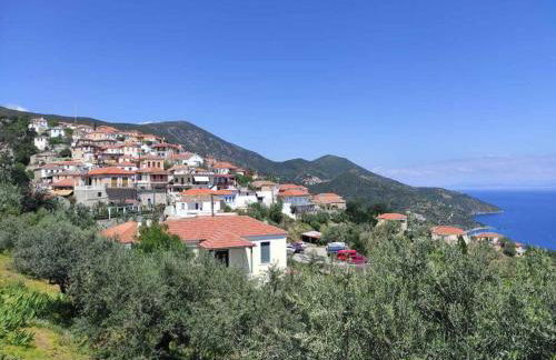 Κατοικία Πανόραμα, Πραγματευτή Λεωνιδίου, Τ.Κ.22300 - Photo 17