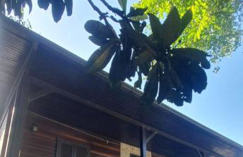 Chalé na Serra Gaúcha, em Picada Café!! - Foto 3