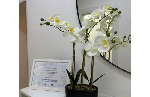 Salento Apartment - Foto 8