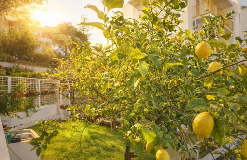 Casa Mirtilla - Photo 35