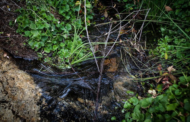 Quinta de Mos - Foto 15