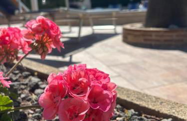 villa Giò - Foto 19