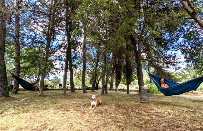 Holiday Home Jaga - Foto 22