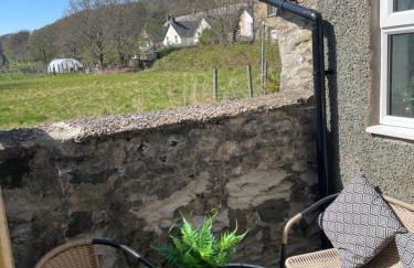 Golygfa'r Orsaf Snowdonia national park, Bala lake - Foto 23