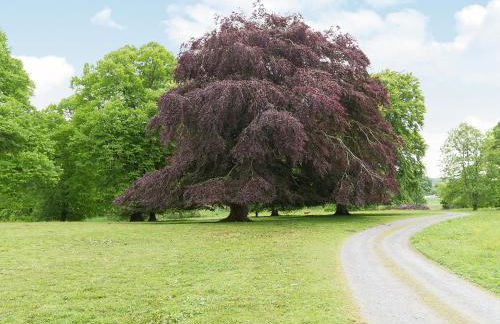 Symbister Suite - Foto 17