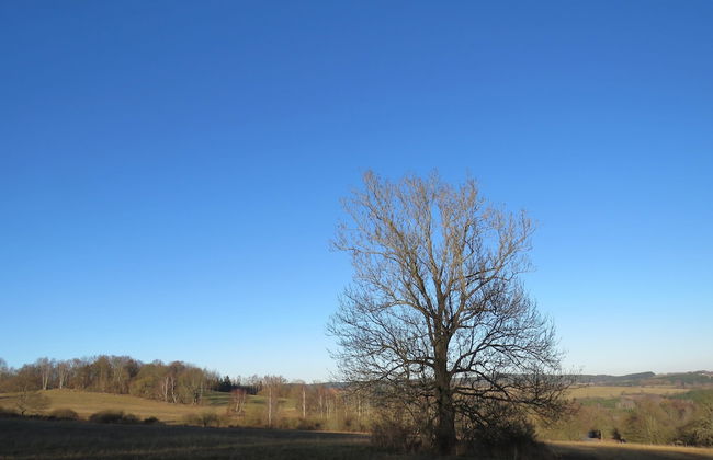 Milire Garden Family Home - Foto 39