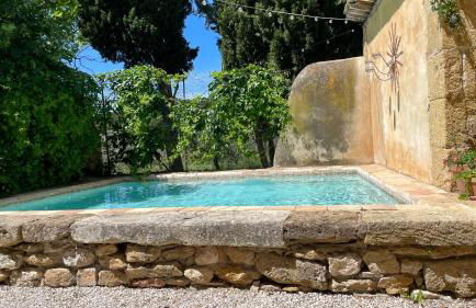 Mas provençal, entre vignes et oliviers - Foto 27