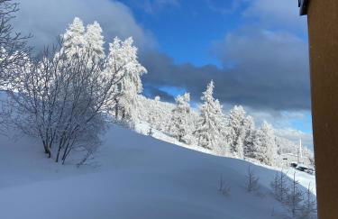 Pied des Pistes, 2 pièces, 6pers, Piscine et Sauna - Foto 25