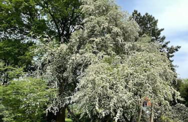 Casa Angres - Lüneburger Heide - Foto 29