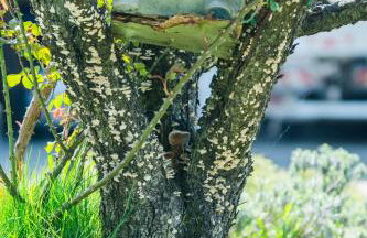 Apartment Bastaja - Foto 43