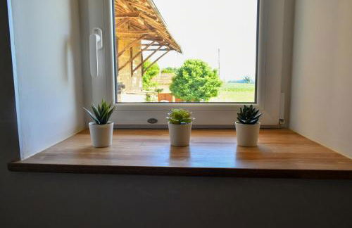 Aux champs Pressinois - Foto 35