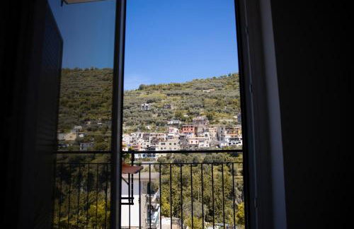 Tenuta Coppola - Foto 52