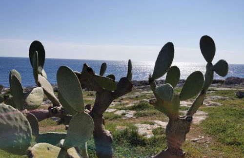 Casa del Glicine Andrano - Foto 19