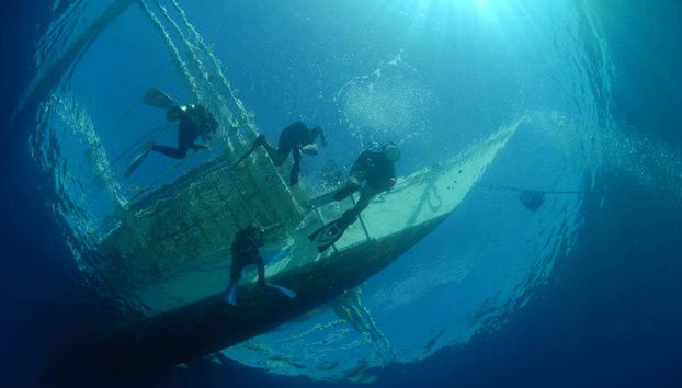 Heading back to the boat after the dive