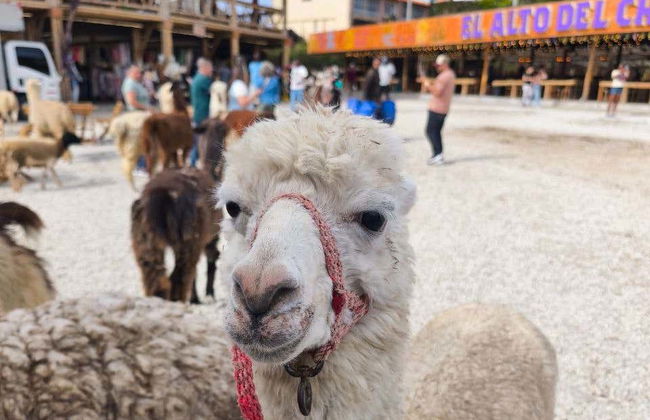 Tour of Guatapé + Boat Ride - Photo 15
