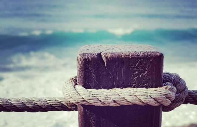 Mansion Almond - Foto 34