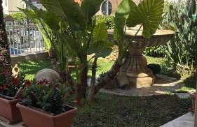 Il delfino holiday house - Photo 50