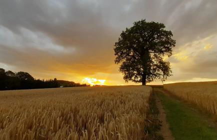 Ferienhaus Andrea Höcherl - Foto 10