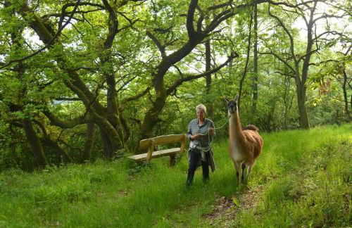 Zur angenehmen Gegend - Foto 27