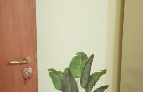 Casa Valmary - Foto 15