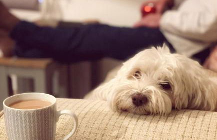 Woodview Cottage - Photo 4