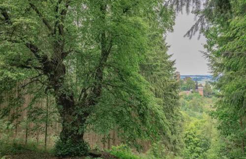 Spacious Farmhouse in Friedrichsfeld near Forest - Foto 51