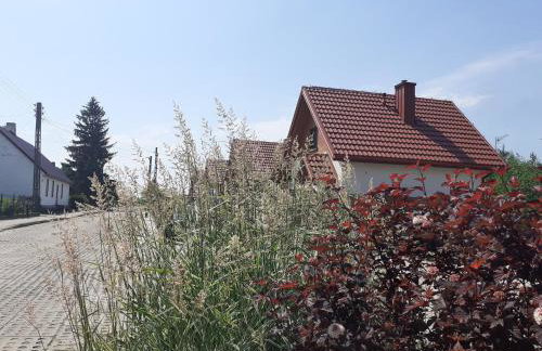 Przystanek Tykocin - domki gościnne w sercu Podlasia - Foto 45