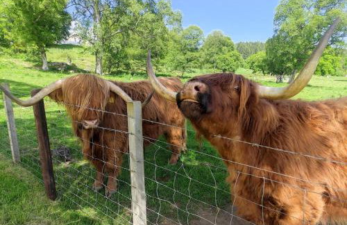 Glenmore Lodge - Foto 9