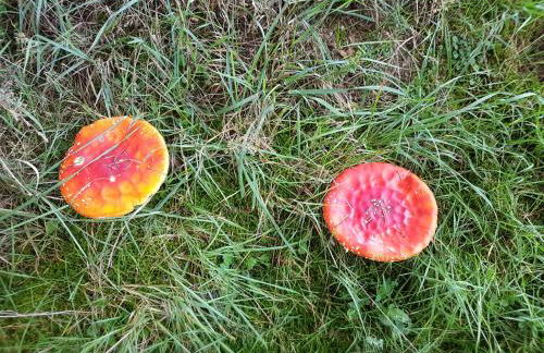 freundliche Unterkunft Sauerland - Foto 28