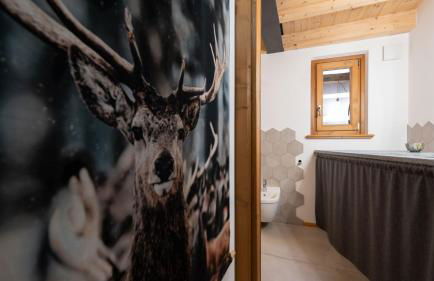 Bear Hutte - Bormio & Livigno luxury stay - Foto 30