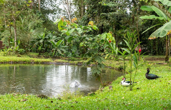Villa el Bosque La Fortuna - Foto 35
