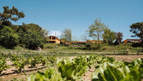 Las HORTENSIAS casa rural en el campo - Foto 5